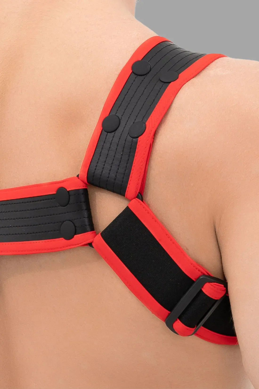 Outtox. Bulldog Harness with Snaps. Black & Red