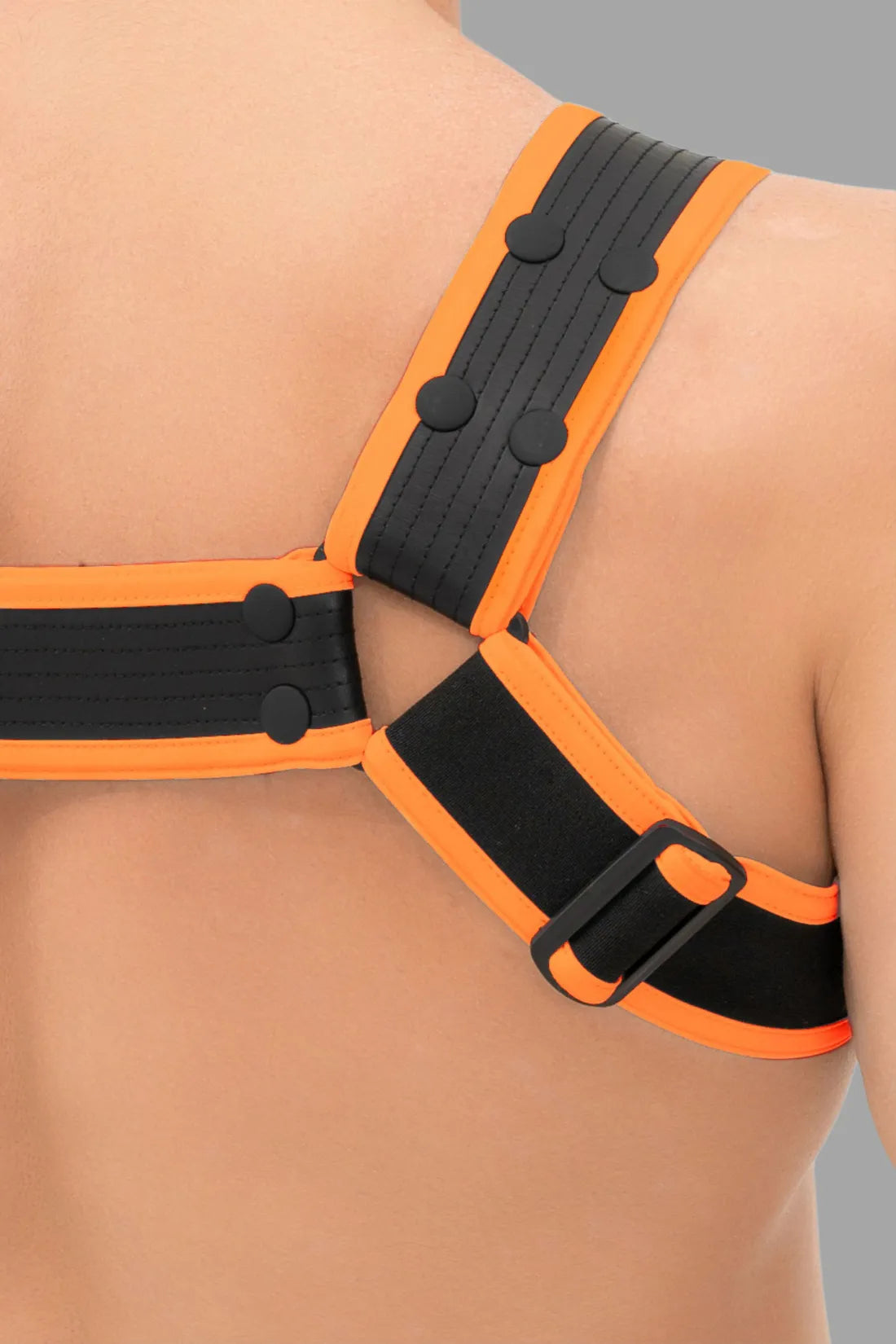 Outtox. Bulldog Harness com Snaps. Preto e Laranja