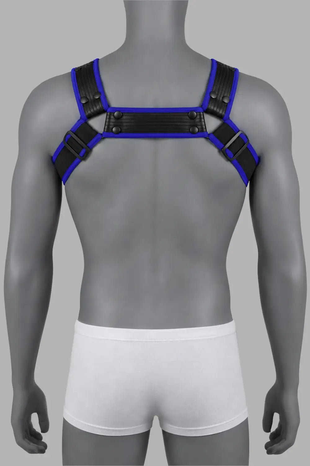 Outtox by Maskulo. Bulldog Harness with Snaps. Black and Blue - XHR122-Y1 - Maskulo US NY FL
